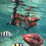 Aktivitas Snorkeling Favorit Wisatawan di Sabang