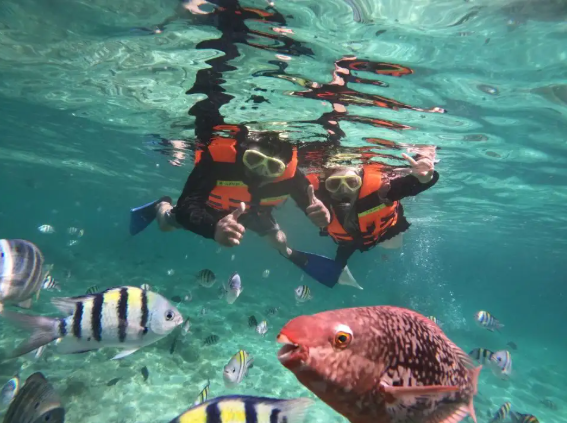 Aktivitas Snorkeling Favorit Wisatawan di Sabang