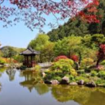 Healing Trip ke Nami Island yang Ikonik dan Tenang