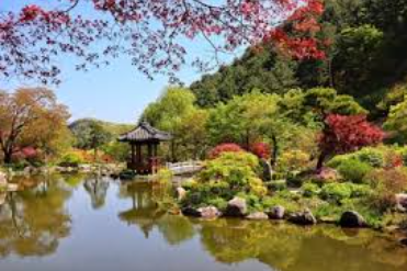 Healing Trip ke Nami Island yang Ikonik dan Tenang