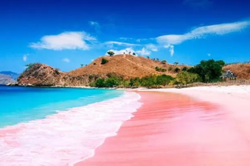 Review Pantai Pink Komodo pesona pasir warna merah muda