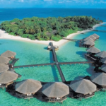 Review Wisata Pulau Derawan Surga Penyu Di Kalimantan Timur