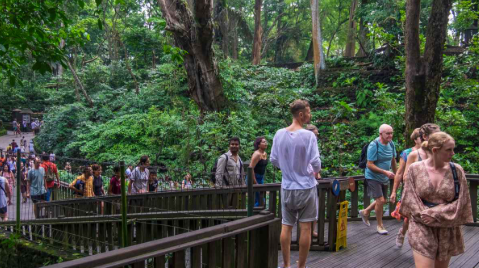 Sacred Monkey Forest Sanctuary Wisata
