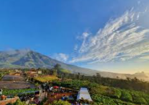 Review Wisata Pegunungan 2026 Udara Sejuk Indah